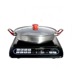 ESTUFA PREMIER DE INDUCCIÓN CON OLLA